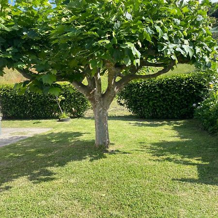 Moradia Rustica Jardim Villa Caloura Buitenkant foto