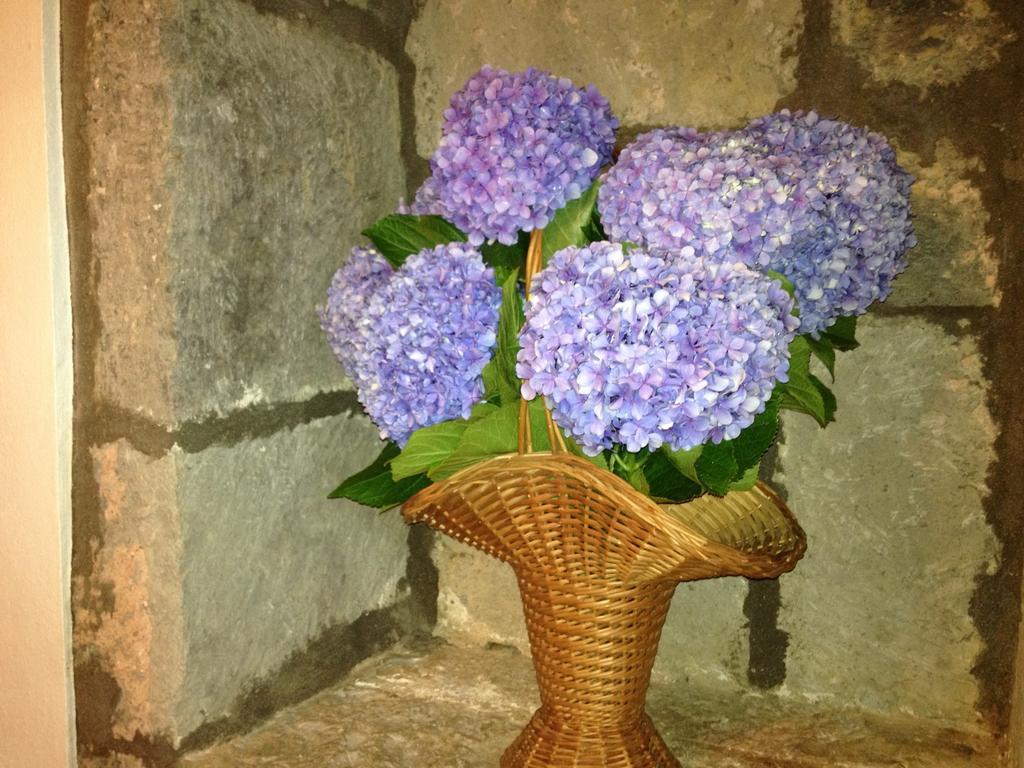 Moradia Rustica Jardim Villa Caloura Buitenkant foto